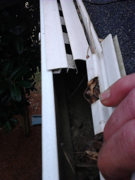 Do not install a plastic screen or cover in your gutters.